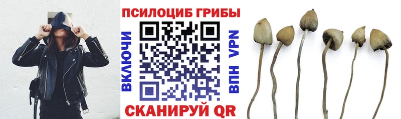 Псилоцибиновые грибы мухоморы где купить наркотик Весьегонск